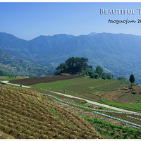 ����̨��