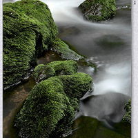 ��̦����ˮ����