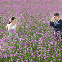 ��̨�ݰ��贺���ɴ��Ӱ������Ϫ��̡���Ӱ�������¿�Ƭ��¯��