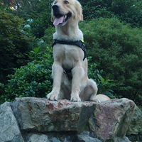 ̫�ɰ��ˣ�����ȫ������������