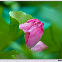 ��Ѥ�����ա��ɻ����������ĺ�