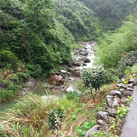 Ѱ��̨�ݵ������������ɽվ�� ��ȥ����?