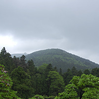 2015��̨�ƽ��ž��