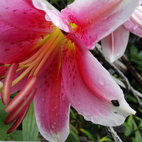 �������������