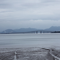 ����ͷ�ŵ�