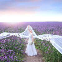 ��576ӡ����Ӱ�����¿�Ƭ��   ��ɫ����   �ƻ�