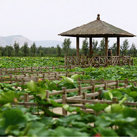 ������      СС�������һȦ