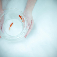 ���շ���д�桾576ӡ����Ӱ����