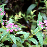 ����Ļ���1