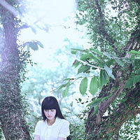 д����������576ӡ����Ӱ��