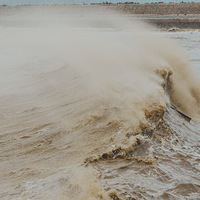 ���ŲӺ軹û�����Ͻ��ء�����