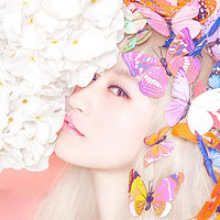 ���������������𣬳��ɵ���Ƭ�����������ַ��ģ�