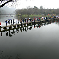 �����μ�