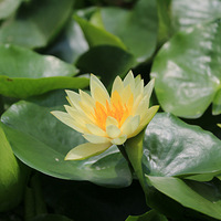 ����һ��