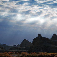 �����½�