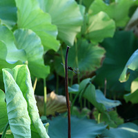 ������糿