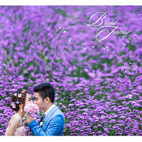 ��Ƭ�������͸�Mr��&Ms�Է�