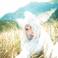 ����FA31.COSС���ɡ���ɽ��֮��