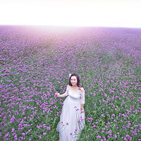 ��576ӡ����Ӱ���������� ޹�²� ���޲�