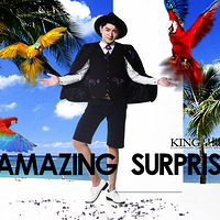 ��KING����Ӱ������װ�ؼ�