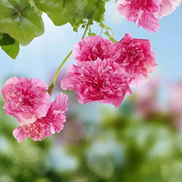 ·�����M�ּ���վ����5���׾�������ʮ��һ