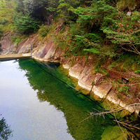 ������Ũ