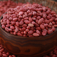 ��������֮shengƪ