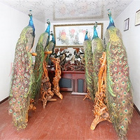 ������һ����ȸ�걾�ǳ�Ư����