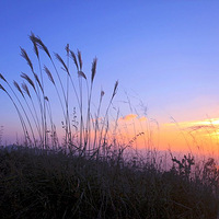 �ŵ��ϵĹŴ���---��ˮ�����̹���