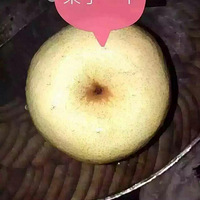 СҹȵıԺ