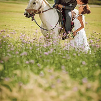 ɹɹ����Ļ�ɴ��