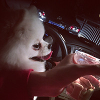 ��������������ô���뽨һ����������qun