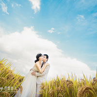 �����贺��2016���Ƭ���ļ����������