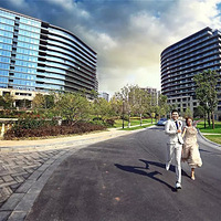 ��籼�ܵİ���