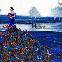 ����Ϊһ�ɲ���Ļ�ɴ�������Ʋ����