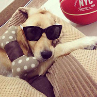 ���Ҽҽ�ë�����Ҹ����˼�