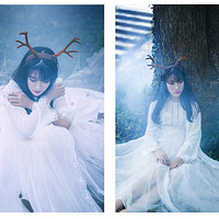 ���贺������д�����⡶��Ұ���١�����