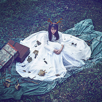 2016�������ϵ����д�桶��Ұ���١���һ�����ʳ�¯