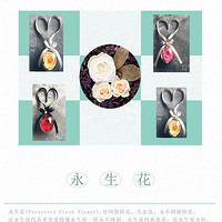 SINCE������ƣ���̨�ݻ���������