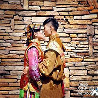 ����黰�⡿�����ʽ VS ���н�飬������ĸ���������һ�֣�