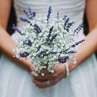 ���£���ů����  ��һ������ӯ���ɴ����