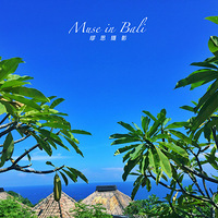 ����˼��Ӱ-2016���嵺�� 