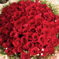 ��Т��ΪŮ�������ֳ���� ����������������