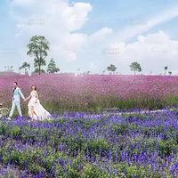 ��2016�߶˶��ơ�������ʻ�ɴ��Ӱ-��Ķ����Ϊ�����