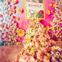 ϲ�ּ�Ƭ-20160405  SHMILY��See how much i love you��