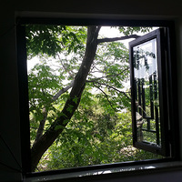 �����Ż�ɴȥ���Ρ������λ�ɴ��С���򡱣��Ҹ��θ��ڡ�������