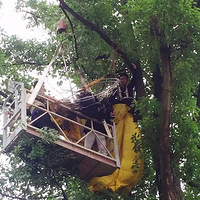 ���ߣ�������������� �����������