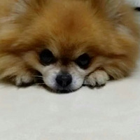 ���װ���lucky