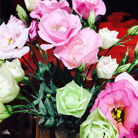 Ʒ˷Լ8ڹںпʼǵԵ