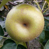 档